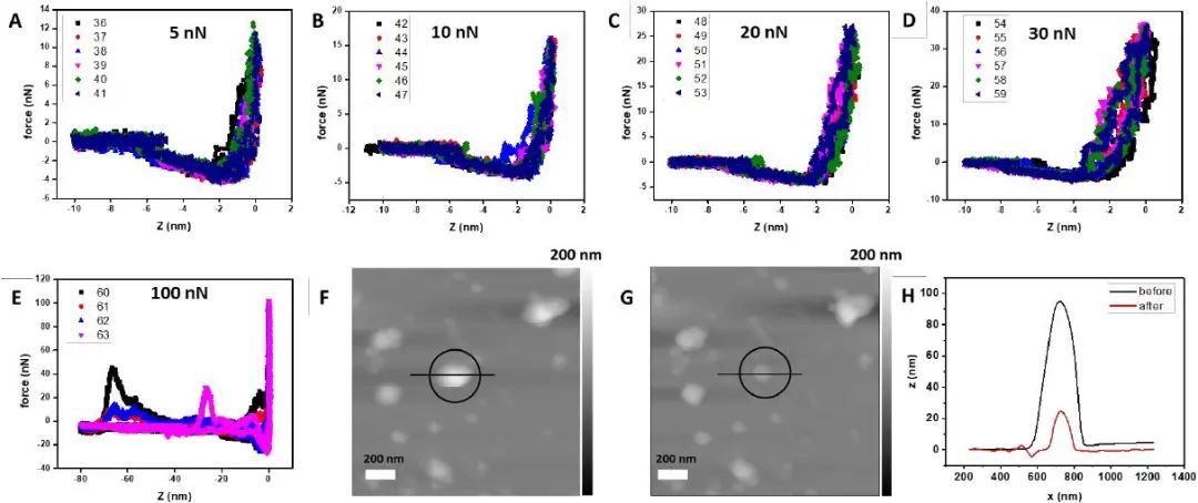 匹兹堡大学刘海涛/哈佛大学尹鹏《ACS Nano》：低密度，高强度的3D独立DNA纳米结构杂化材料
