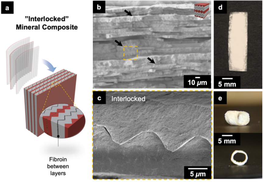 《ACS Nano》生物矿化：仿生贝壳制备超强超韧材料